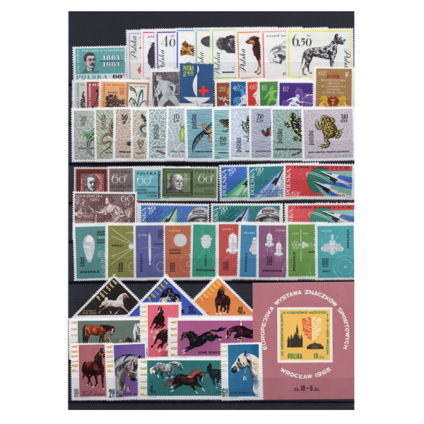 Pakiet znaczków polskich czyste  na czarnej karcie transportowej [561]