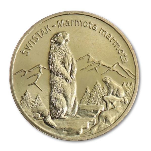 2 złote 2006  NG Świstak monety Nordic Gold - woreczek menniczy 50 sztuk