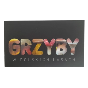 2012 Fi. 4545 i 4548 Grzyby Polskich Lasów FDC w folderze