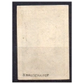 Woldenberg IIC 1943  Fi. 35 (*) Powstanie Wielkopolskie znaczek obozowy