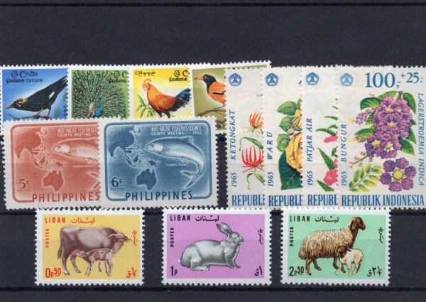 Pakiet Azja 13 znaczków czyste na czarnej karcie transportowej [025]