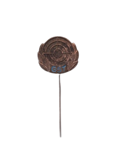 Odznaka za osiągnięcia w strzelectwie sportowym