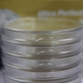 Kapsle Ultra Perfect Fit na monety bulionowe fi. 22,05 mm (suweren) - 10 szt. LEUCHTTURM